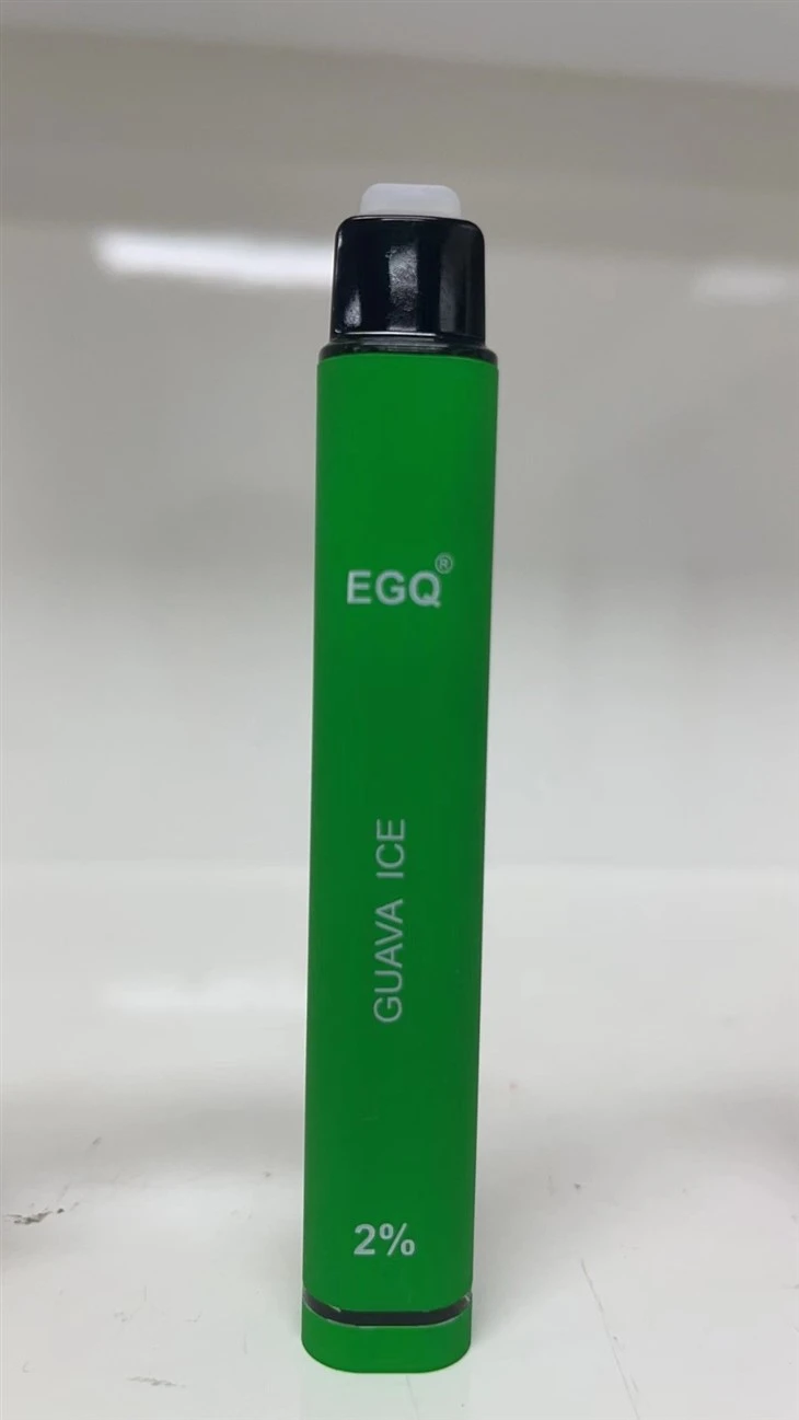 600 Puffs Flash Vaping Pen E Cigarette