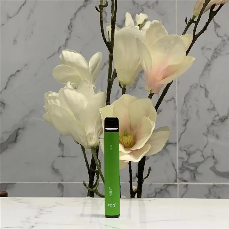 Hot Sell Vape Pen