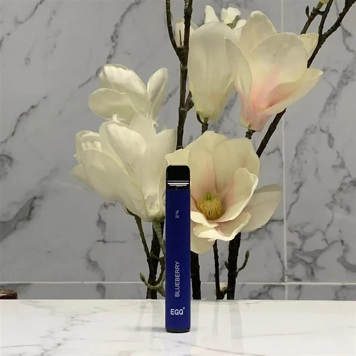 Hot Sell Vape Pen