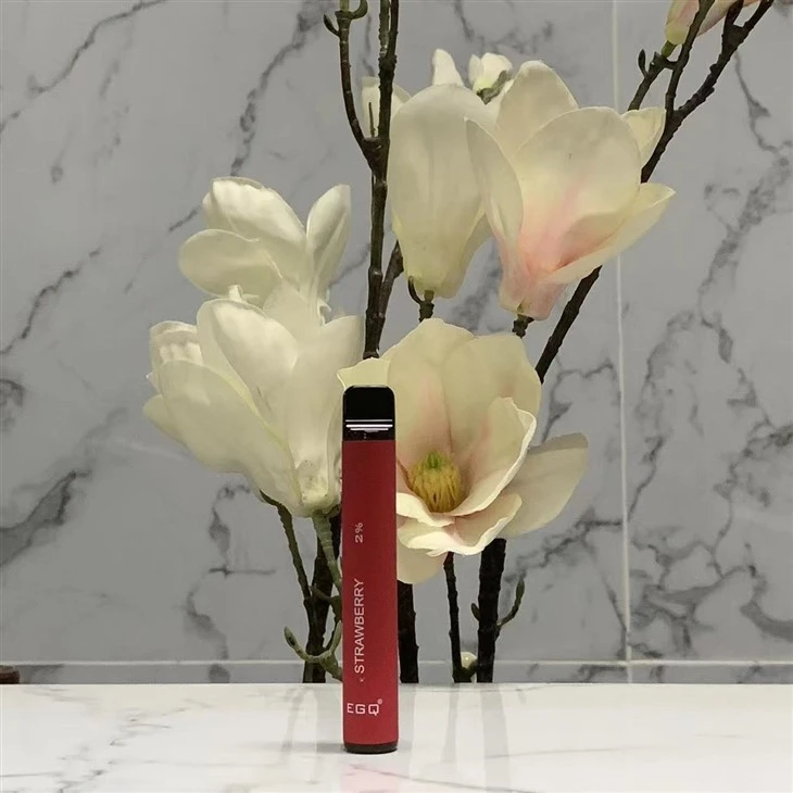 Hot Sell Vape Pen